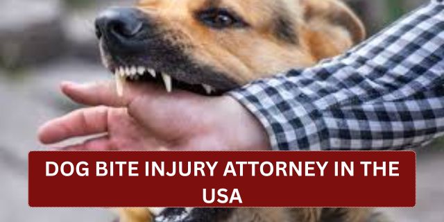 Dog Bite Injury Attorney in the USA